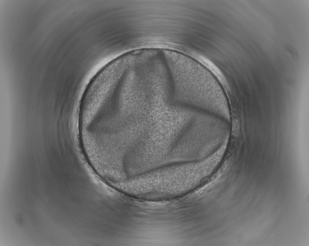 X0000112061144200909010957