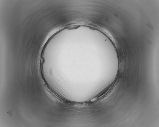 X0000112061146200909010957