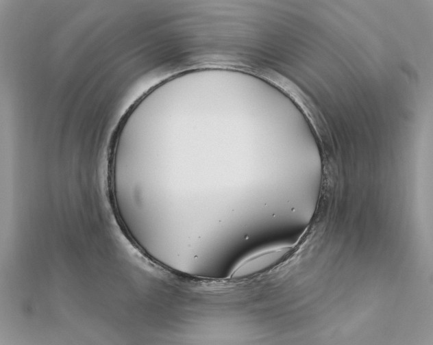 X0000112061147200909010957