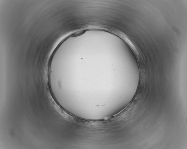 X0000112061148200909010957