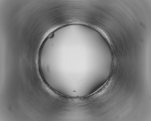 X0000112061149200909010957