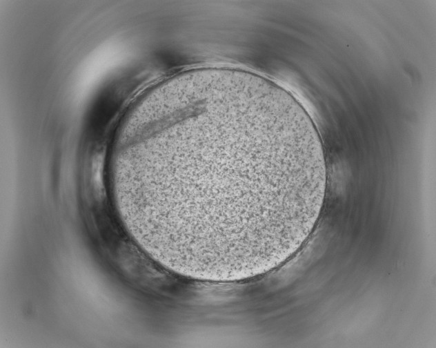 X0000112061150200909010957