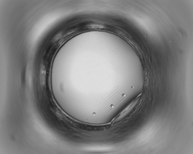 X0000112061151200909010957