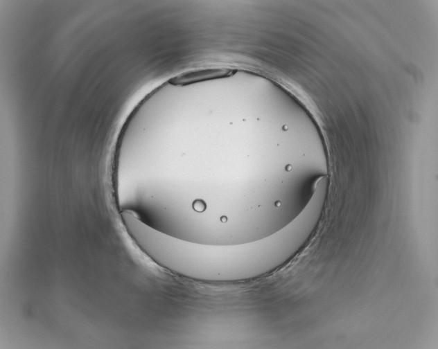 X0000112061152200909010957