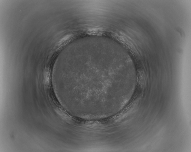 X0000112061154200909010956