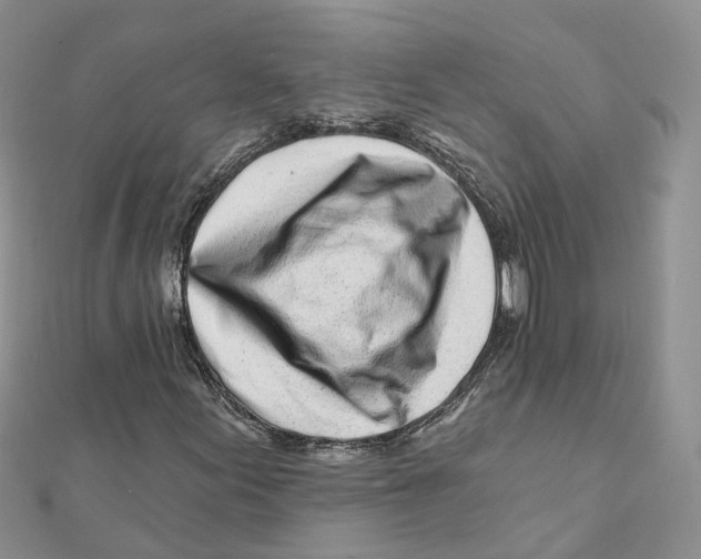 X0000112061155200909010956