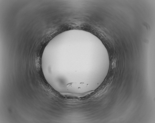 X0000112061156200909010956