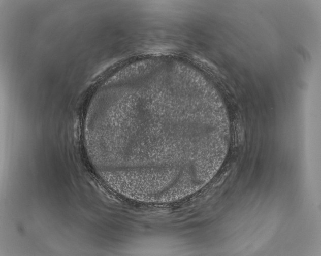 X0000112061158200909010956