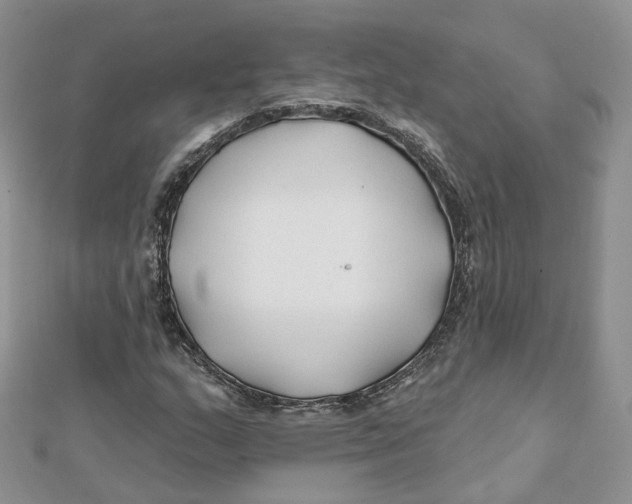 X0000112061159200909010956