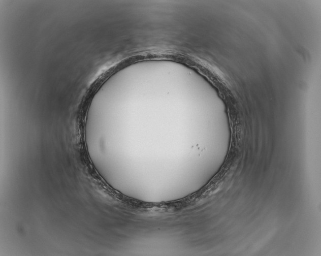 X0000112061160200909010956