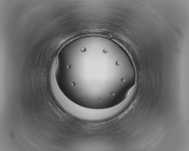 X0000112061161200909010956