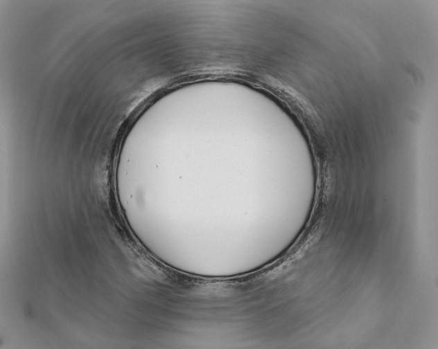 X0000112061162200909010956