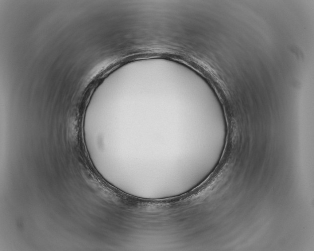 X0000112061163200909010956