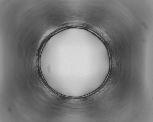 X0000112061164200909010956