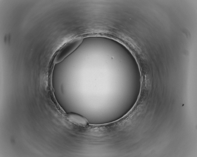 X0000112061165200909010956