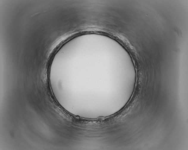 X0000112061167200909010956