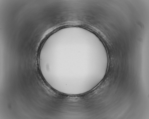 X0000112061168200909010956