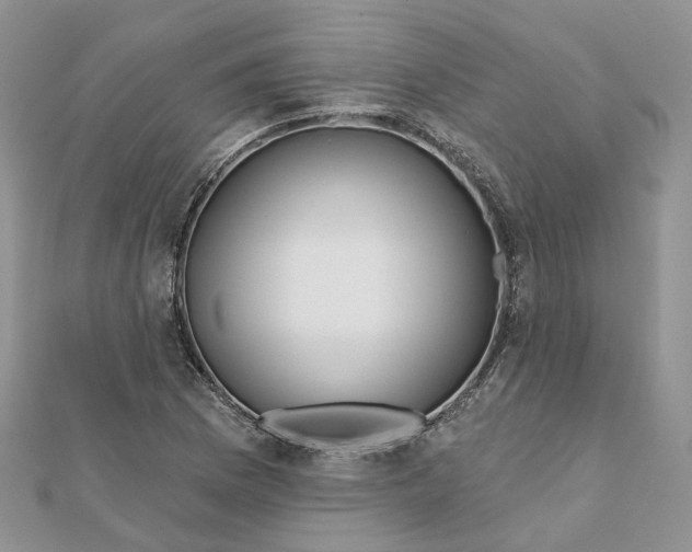 X0000112061169200909010956