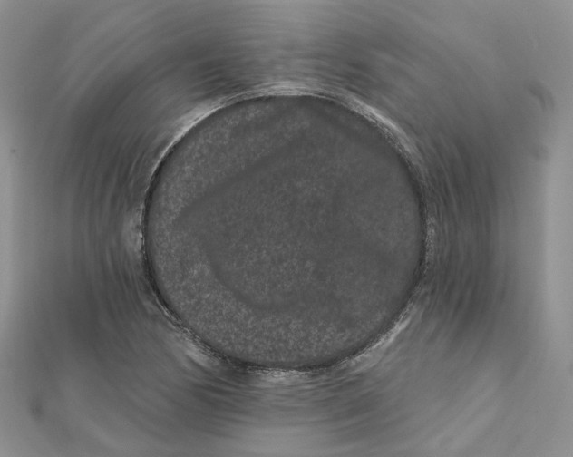 X0000112061170200909010956