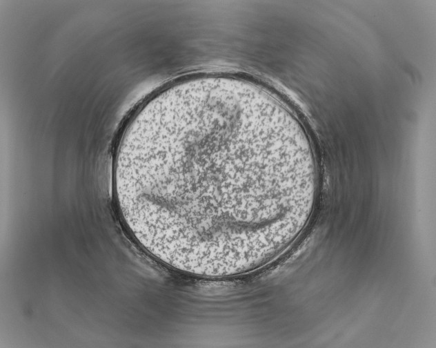 X0000112061171200909010956