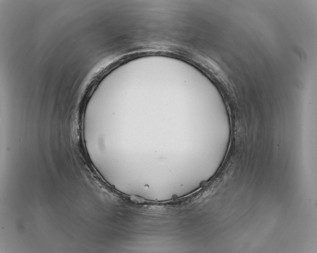 X0000112061172200909010956