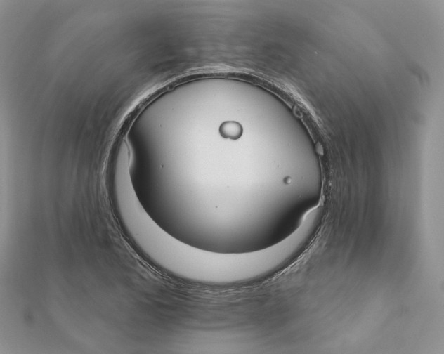 X0000112061173200909010956