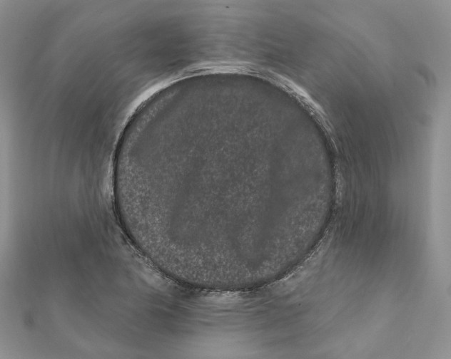 X0000112061174200909010956