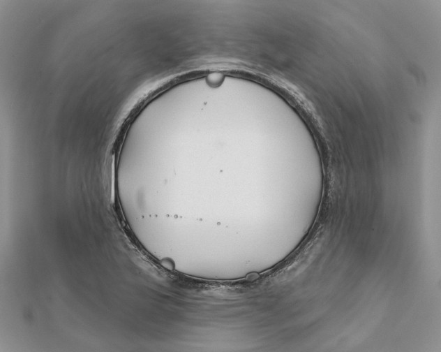 X0000112061175200909010956