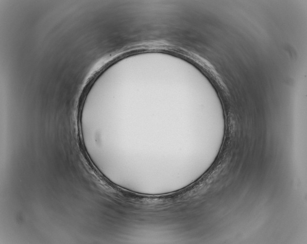 X0000112061176200909010956