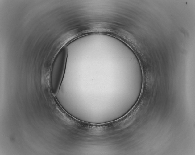 X0000112061177200909010956