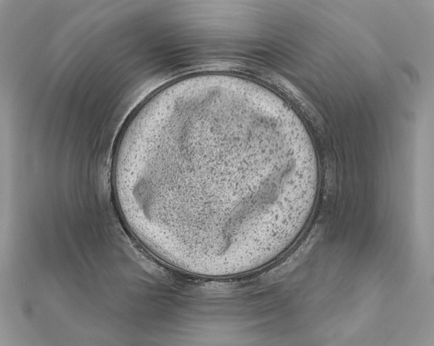 X0000112061178200909010956