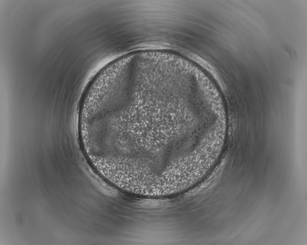 X0000112061179200909010956