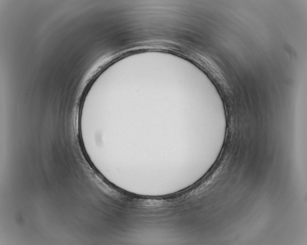 X0000112061180200909010956