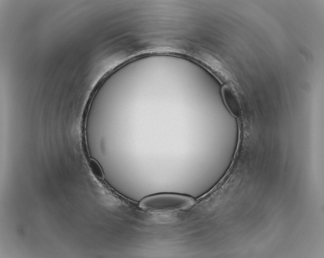 X0000112061181200909010956