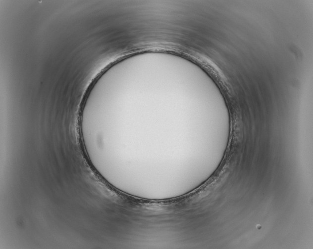 X0000112061182200909010956