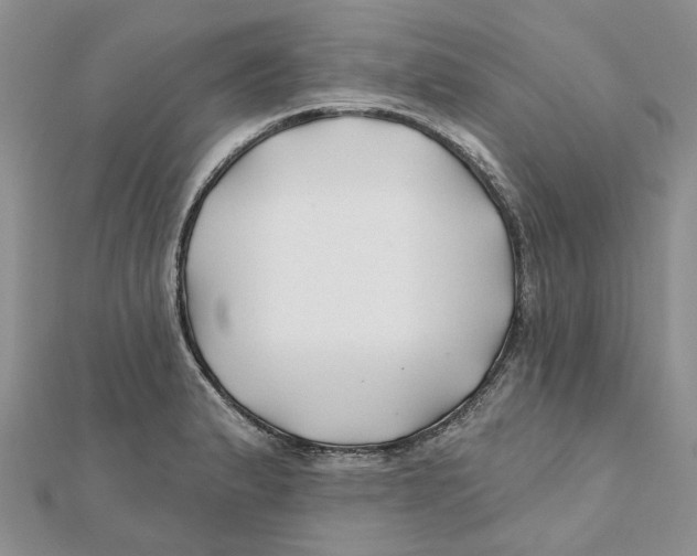 X0000112061183200909010956