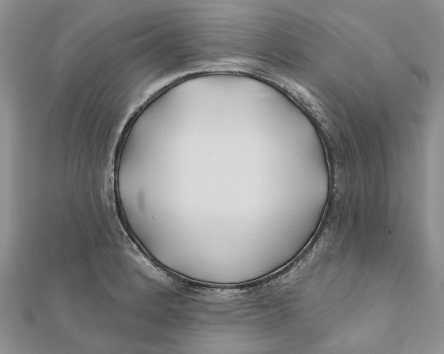 X0000112061184200909010956