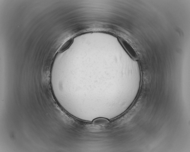 X0000112061185200909010956