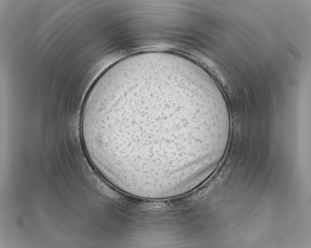 X0000112061186200909010956