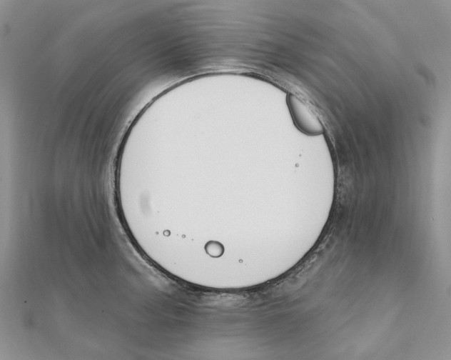 X0000112061187200909010956