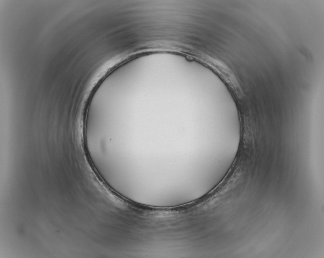 X0000112061188200909010956