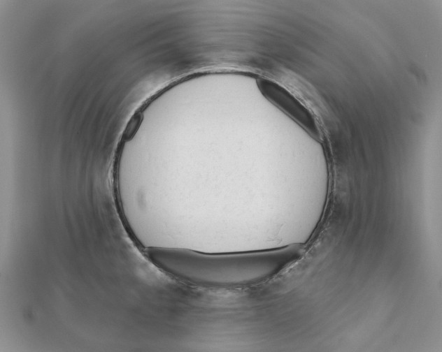 X0000112061189200909010956