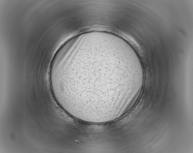 X0000112061190200909010956