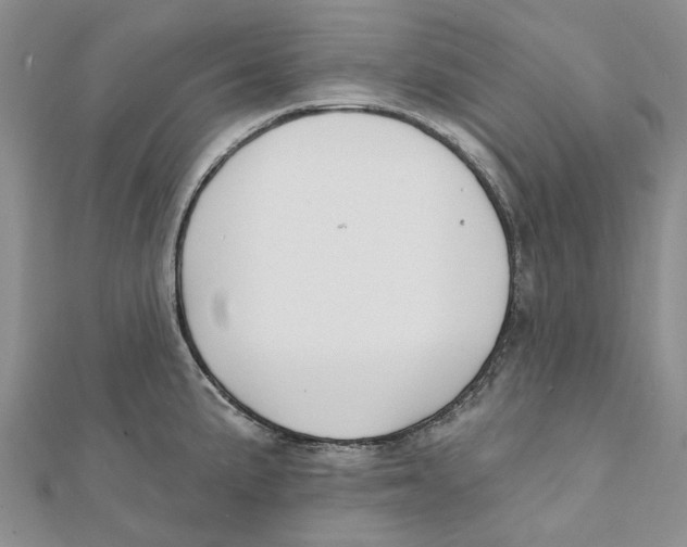 X0000112061191200909010956