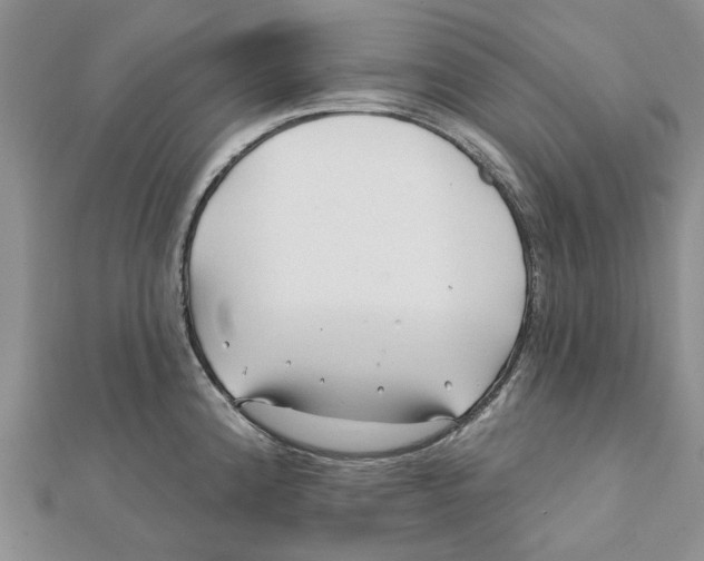 X0000112061192200909010956