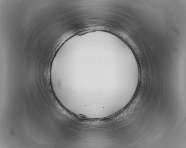 X0000112061193200909010956