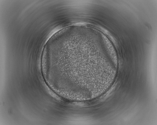 X0000112061194200909010956