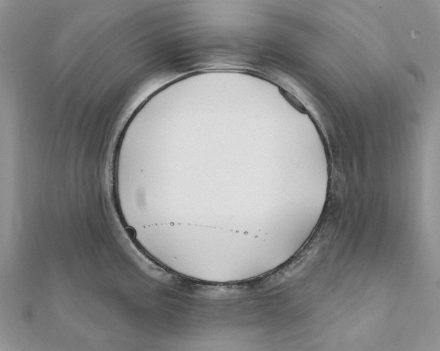 X0000112061195200909010956