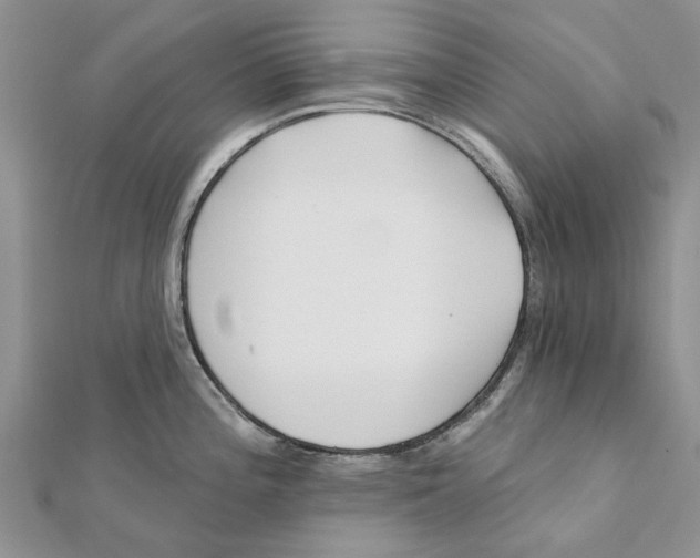 X0000112061196200909010956