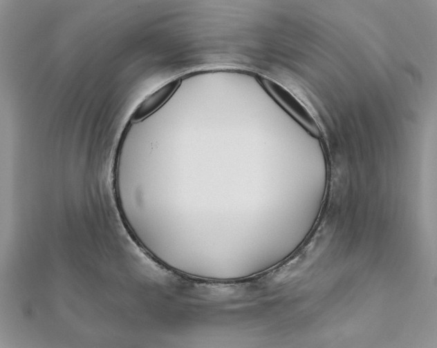 X0000112061197200909010956